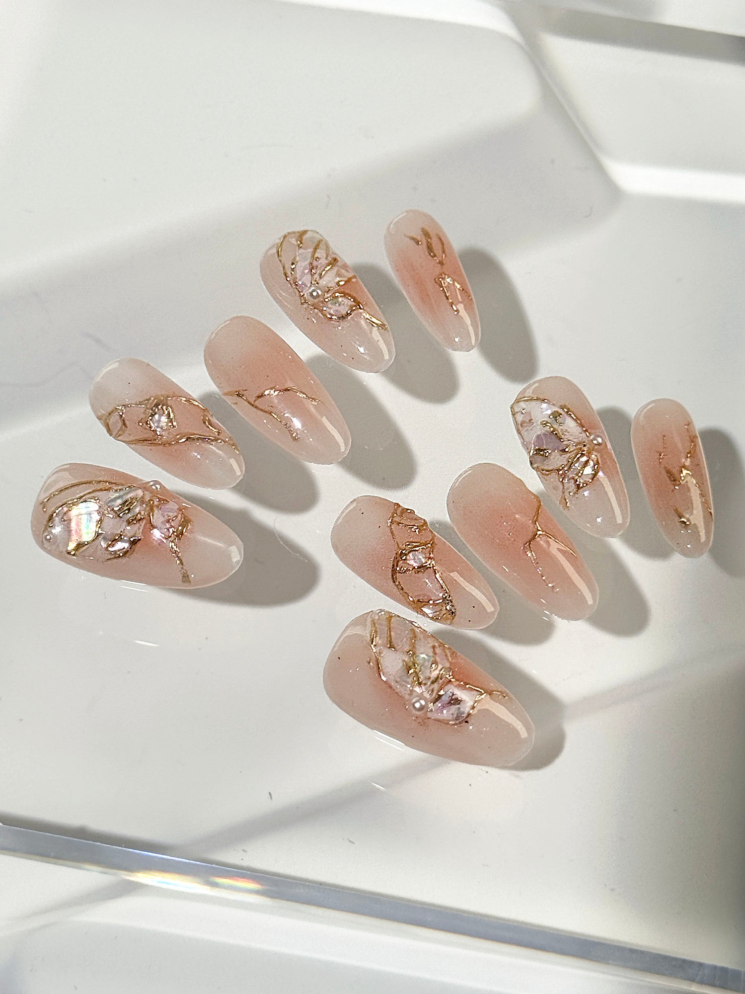 Shellbound Wings