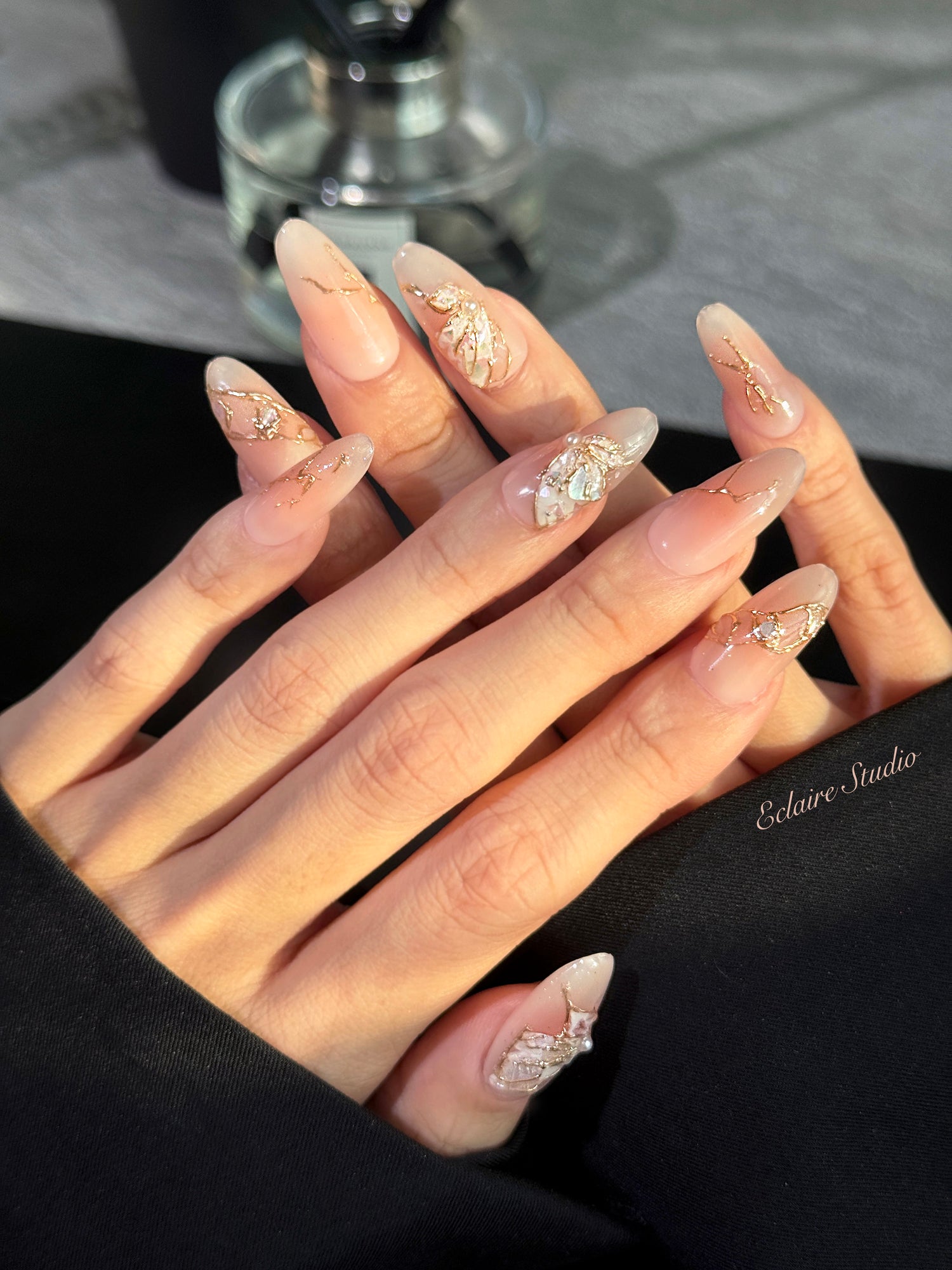 Shellbound Wings